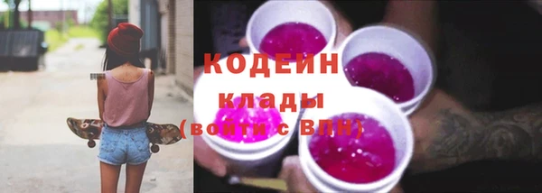 прущий лед Арсеньев