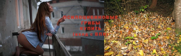 прущий лед Арсеньев
